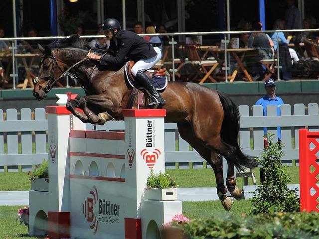 2026年苏超主教练名单公布，李玮锋、大张玉宁等领衔